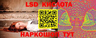 крисы Краснознаменск