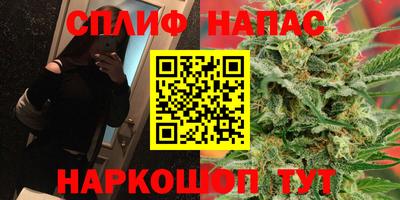 крисы Краснознаменск
