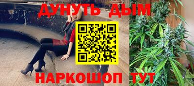 крисы Краснознаменск