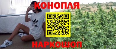 ГАЛЛЮЦИНОГЕННЫЕ ГРИБЫ Краснокаменск
